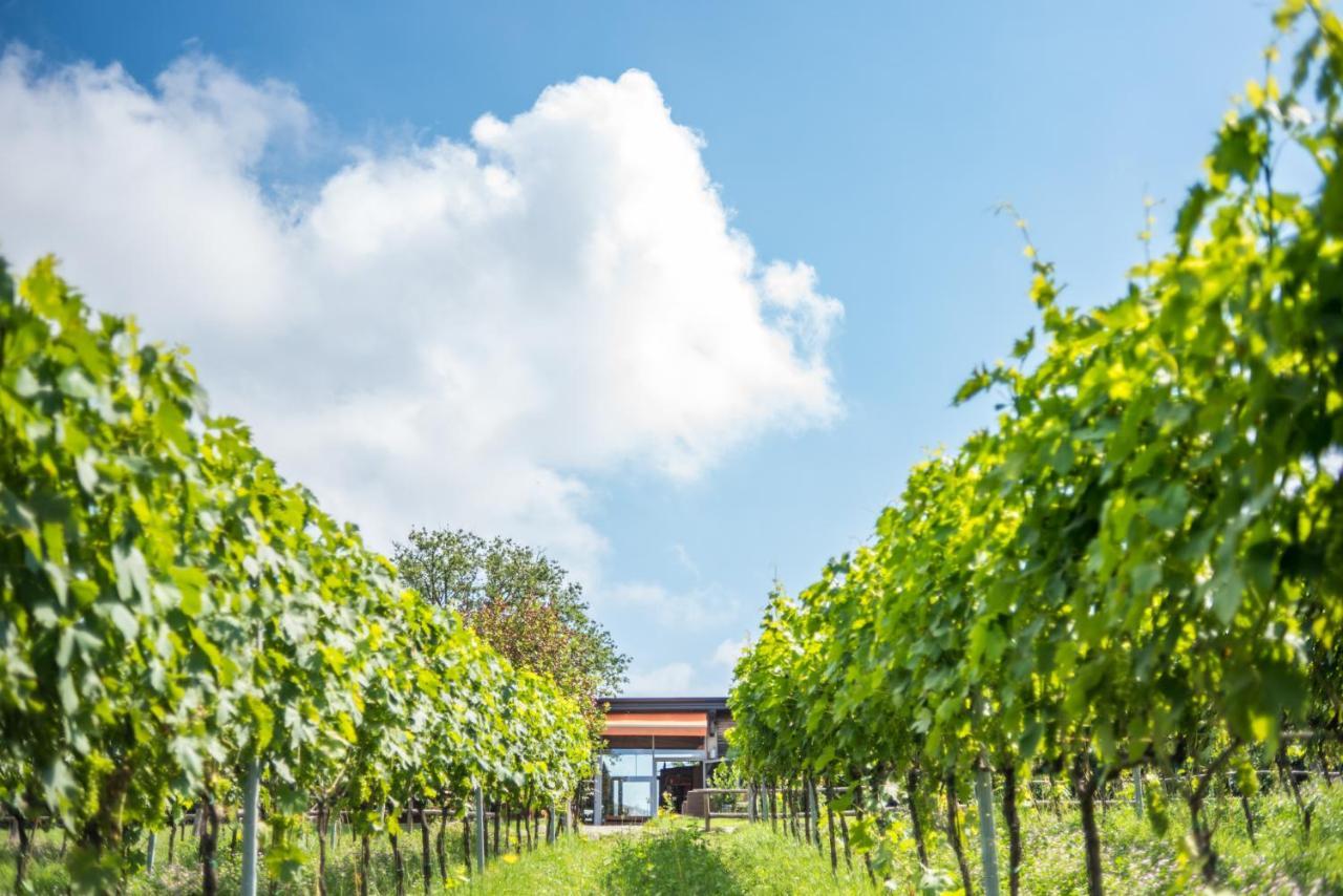Valdonica Winery Fine Dine & Wine Hotel Sassofortino Exterior photo