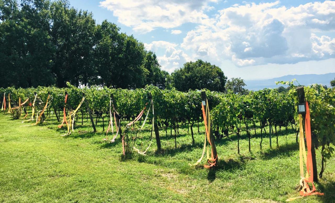 Valdonica Winery Fine Dine & Wine Hotel Sassofortino Exterior photo