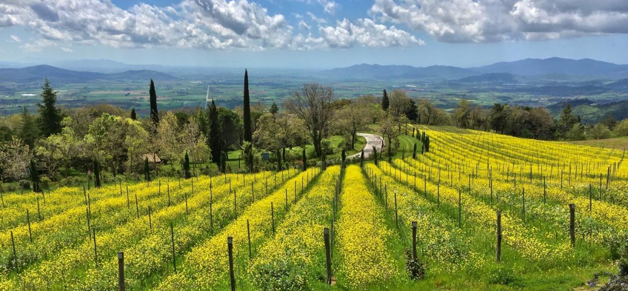 Valdonica Winery Fine Dine & Wine Hotel Sassofortino Exterior photo